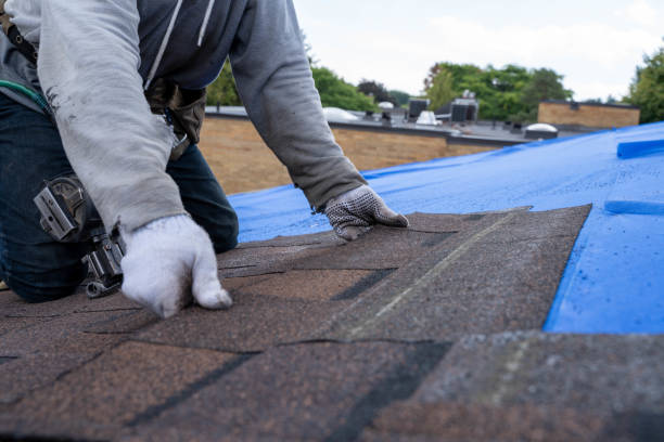Best Shingle Roofing Installation  in De Leon, TX